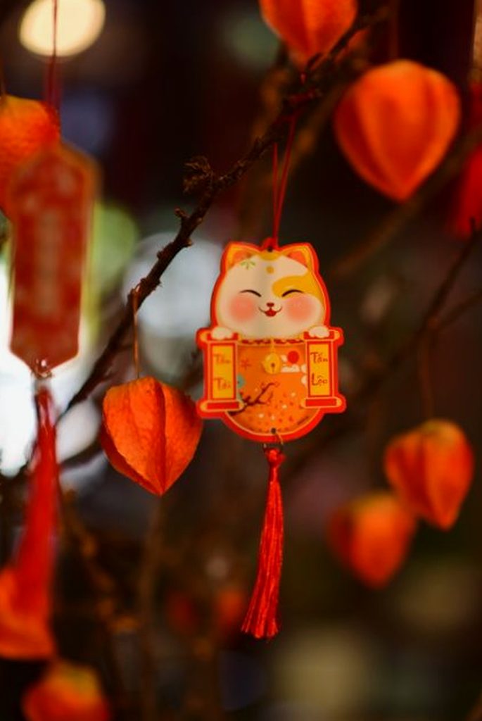 giấy phép Debet